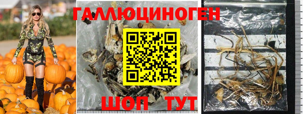Псилоцибиновые грибы мицелий Нефтекамск